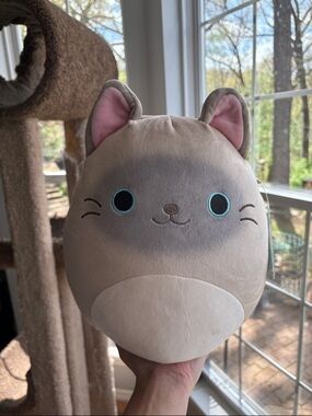 Felton the Siamese cat squishmallow 10in NWT